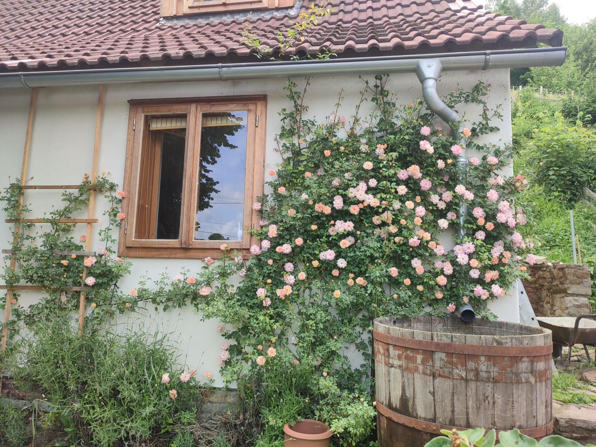 Apartamento Stodola Svaty Stepan Bylnice